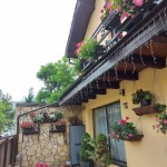 Apartment for rent Casa Edelweiss Brasov