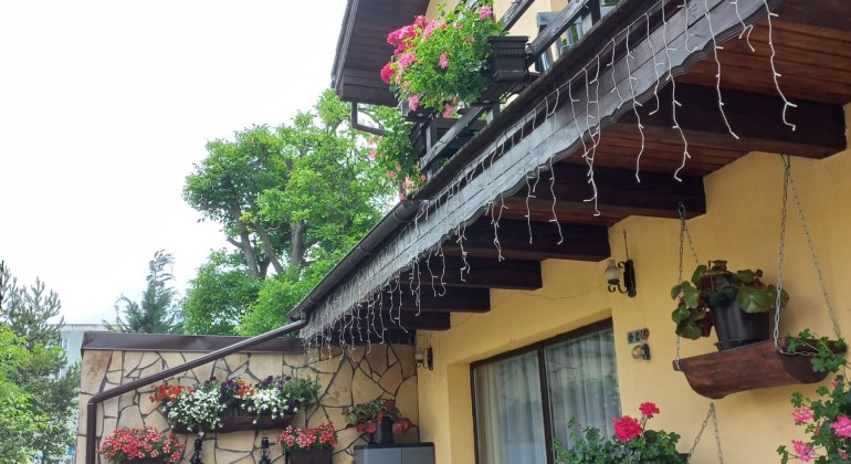 Apartment for rent Casa Edelweiss Brasov