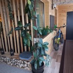 Apartment for rent Casa Edelweiss Brasov