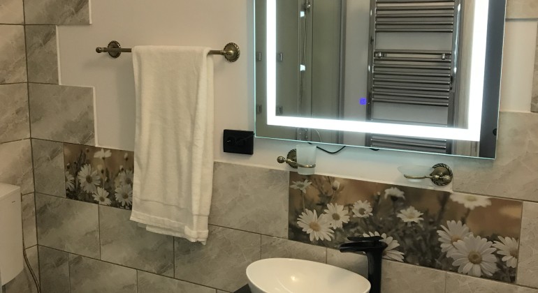 Regim Hotelier Garsoniera Delia Brașov Brasov