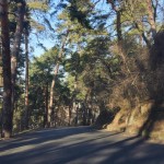 Regim Hotelier Secret Apartment Brasov