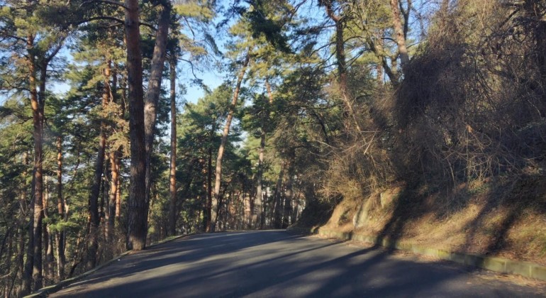 Regim Hotelier Secret Apartment Brasov