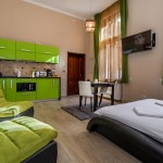 Regim Hotelier Select City Center Apartments Brașov Brasov